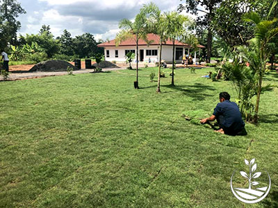 Wwoofing en thailande, faire du volontariat en thailande, faire du bénévolat en thailande, woofing thailande, thai wwoof, excursion en issan, découvrir l'isan, thailande authentique