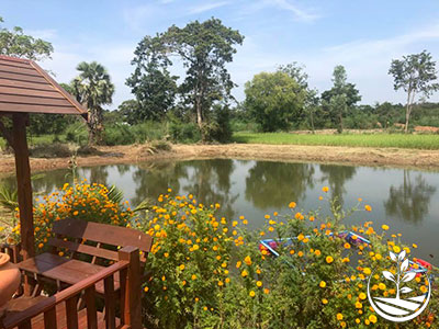 Wwoofing en thailande, faire du volontariat en thailande, faire du bénévolat en thailande, woofing thailande, thai wwoof, excursion en issan, découvrir l'isan, thailande authentique