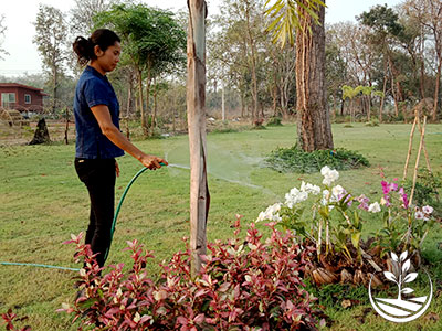Wwoofing en thailande, faire du volontariat en thailande, faire du bénévolat en thailande, woofing thailande, thai wwoof, excursion en issan, découvrir l'isan, orchidée