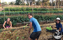 thai wwoofing, wwoofing en thailande, woofing, woofing en thailande, wwoof Thaïlande, écotourisme, eco-tourisme, permaculture, culture tropicale, tourisme vert; permaculture, bénévolat en thailande, autosuffisance