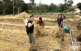 woofing, woofing en thailande, wwoof Thaïlande, écotourisme, eco-tourisme, permaculture, culture tropicale, tourisme vert; permaculture, bénévolat en thailande, volontariat