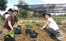 thai wwoofing, wwoofing en thailande, woofing, woofing en thailande, wwoof Thaïlande, écotourisme, eco-tourisme, permaculture, culture tropicale, tourisme vert, permaculture, bénévolat