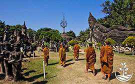 thai wwoofing, wwoofing en thailande, woofing, woofing en thailande, wwoof Thaïlande, écotourisme, eco-tourisme, permaculture, culture tropicale, tourisme vert; permaculture, bénévolat en thailande, bouddhisme