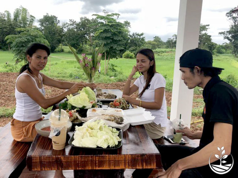 Wwoofing en thailande, faire du volontariat en thailande, faire du bénévolat en thailande, woofing thailande, thai wwoof, petit déjeuner thai