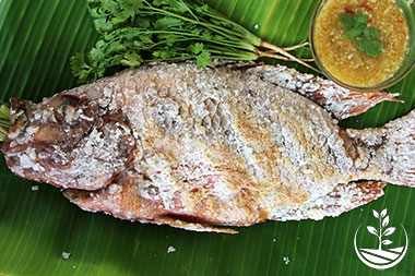 cours de cuisine thai, apprendre à cuisiner des plats thailandais