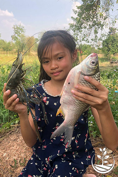 cours de cuisine thai, apprendre à cuisiner des plats thailandais