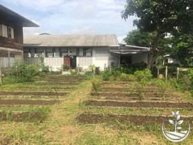 wwoofing thailande, woofing en Thaïlande, organique, bio, permaculture