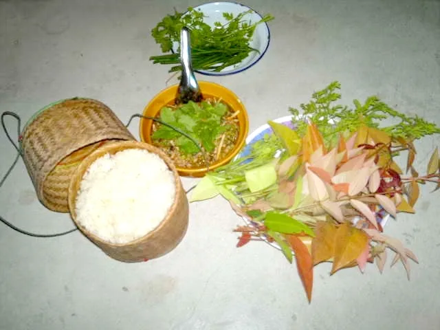 Riz gluant en Thaïlande