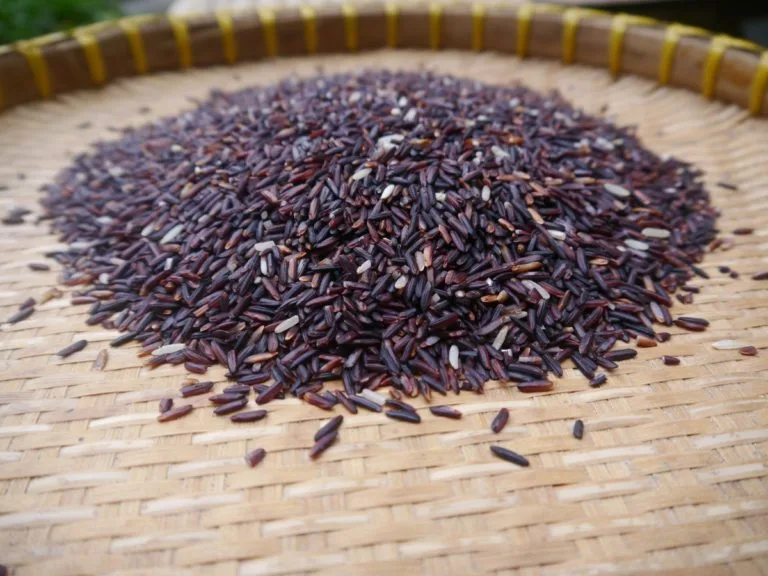 Riz gluant noir de Thaïlande