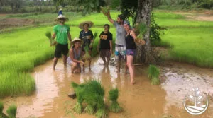 Natural farming workshop