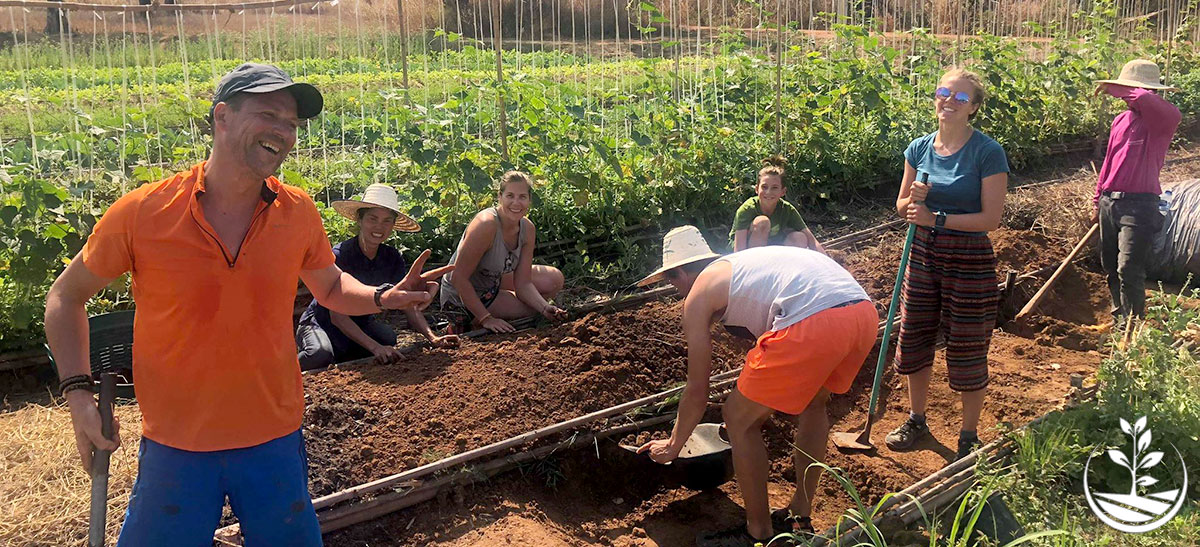 woofing en Thaïlande, wwoofing, permaculture