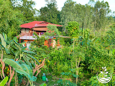 construction naturelle, woofing, construire en thailande avec des briques de terre, permaculture, stage