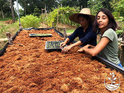 stage de permaculture, woofing en Thaïlande, cours d'agriculture bio