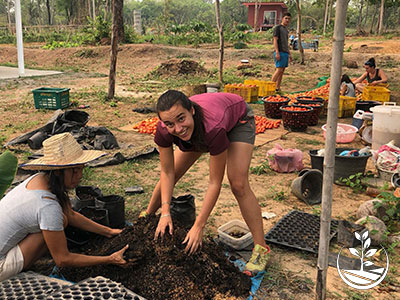 Stage de permaculture, woofing en Thaïlande, cours d'agriculture bio