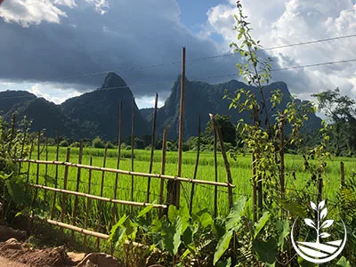 excursion et visite à Vang Vieng au Laos près de Vientiane