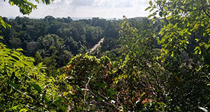 excursion, permaculture, organique, bio, Thaïlande