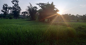 excursion, permaculture, organique, bio, Thaïlande