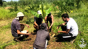 agroforesterie, stage de permaculture, woofing thailande