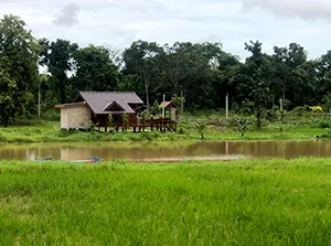 woofing en Thaïlande, stage de permaculture, visa volontaire