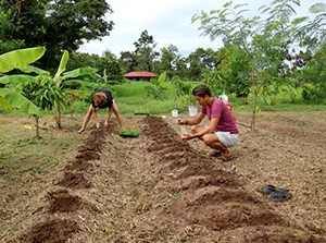 woofing en Thaïlande, stage de permaculture, visa volontaire