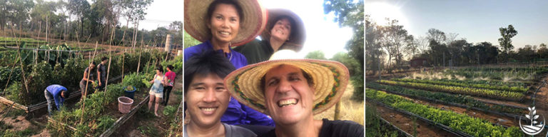 woofing en Thaïlande