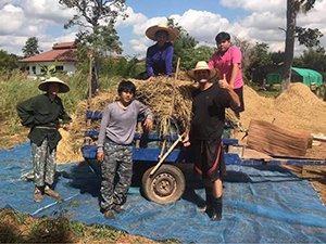 stage de permaculture, stage en Thaïlande