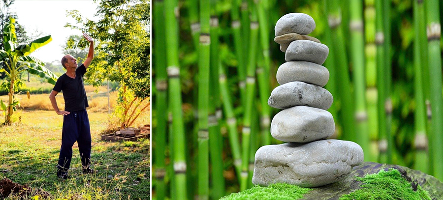yoga en Thaïlande, stage de yoga, initiation yoga; woofing en Thaïlande, permaculture