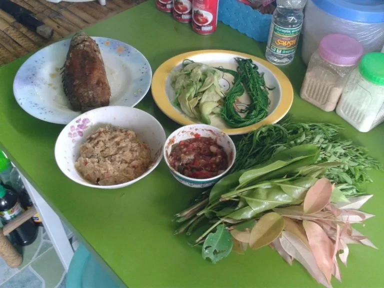 Plats de la Thaïlande rurale