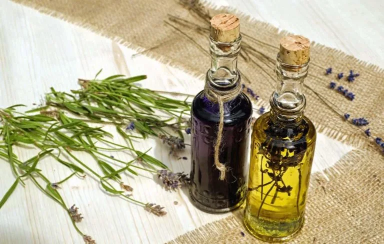 Les plantes médicinales