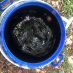 Élaboration du thé de compost