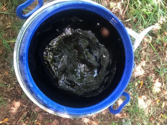 Élaboration du thé de compost