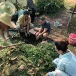 Compostage et natural farming