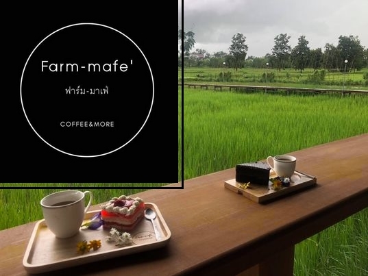 Farm-Mafe coffee shop Udon Thani