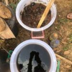 Thé de compost natural farming