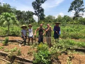 Nos invités au travail dans notre ferme