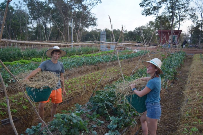 La permaculture en Thailande