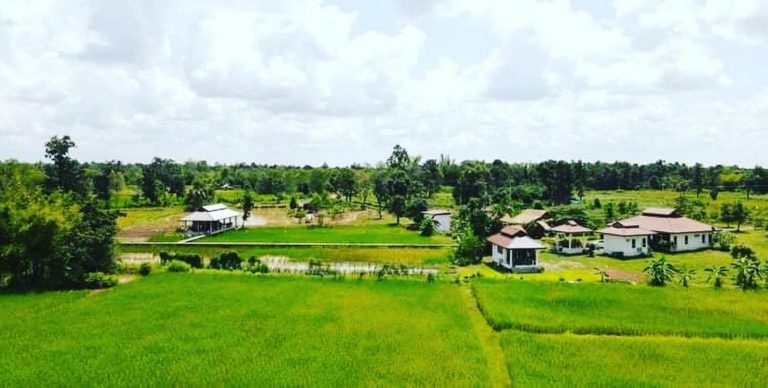 Suwan Organic Farmstay