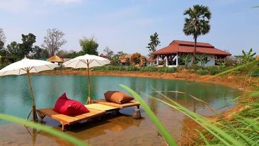 Vue imprenable de nos bungalows en pleine nature