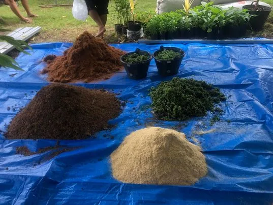 Selection des matières pour le compost maison
