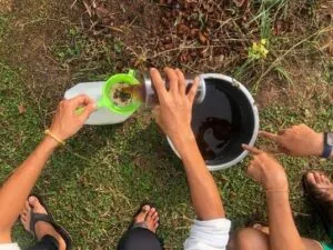 Comment faire et utiliser le thé de compost