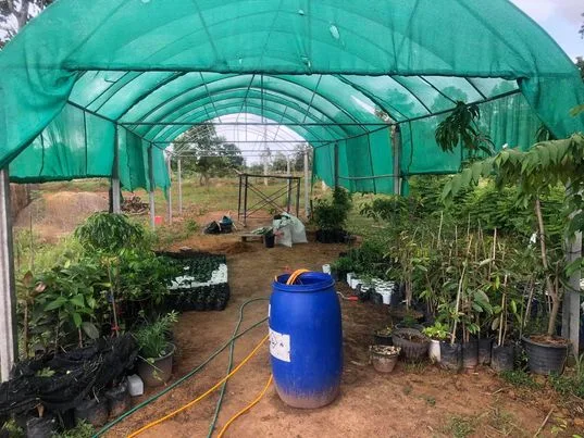 Utilisation dut thé de compost