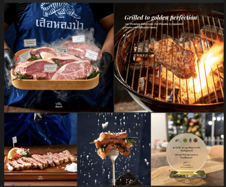 เสือหลงป่า, UDON THANI