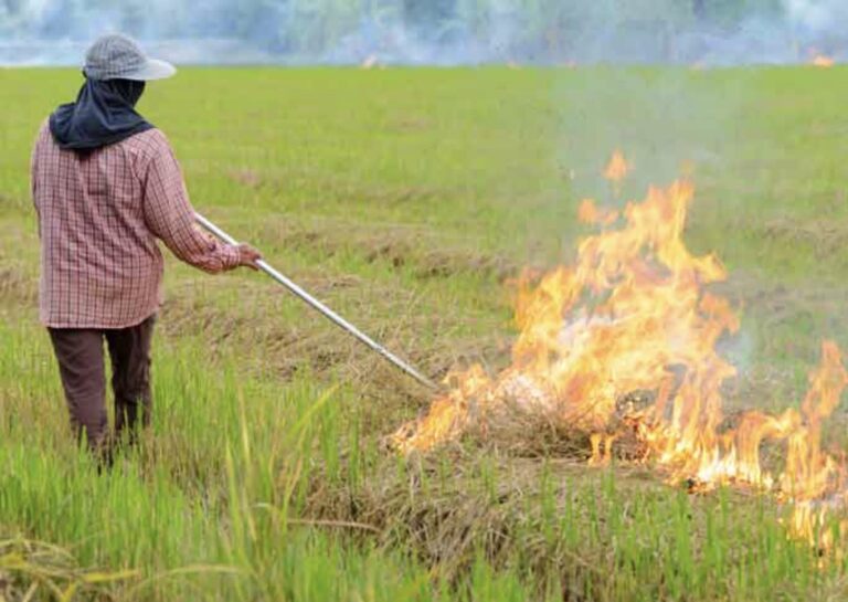Les brûlis en Thaïlande
