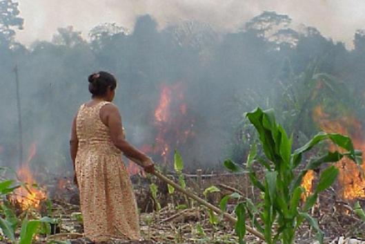 Brûlis en Amazonie