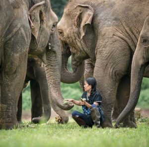 Elephant Nature Park