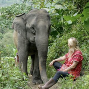 Chez Sophie, Elephant Step Chiang Rai