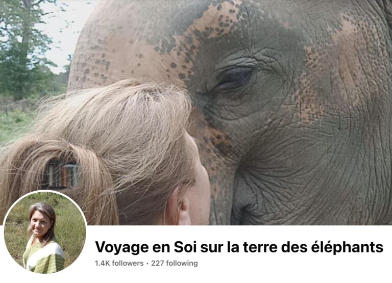 Voyage en soi sur la terre des éléphants avec Carole Bertrand Vivier