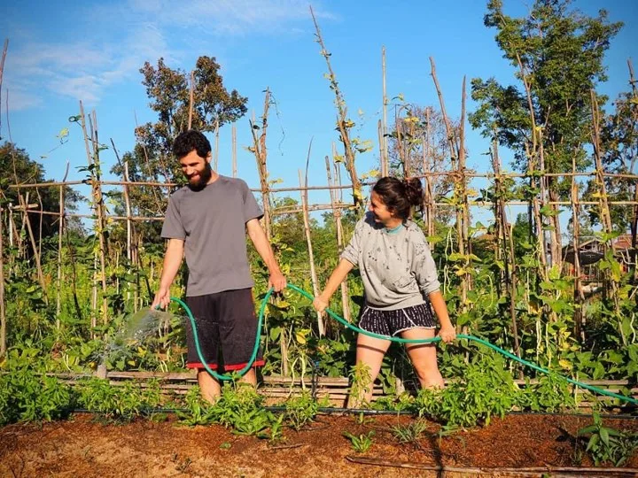 Faire du woofing en Thaïlande, c'est amusant et instructif !