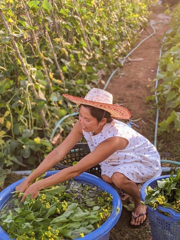 Aun au potager