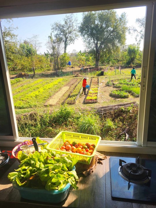 Dégustez des plats délicieux et authentiques à la Suwan Organic Farmstay, fabriqués avec les produits frais de la ferme.